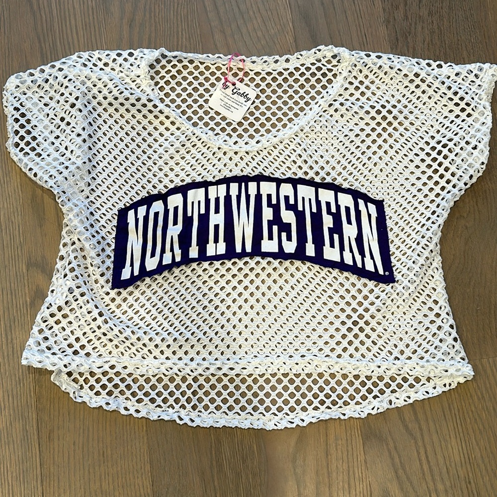Northwestern University mesh crop top